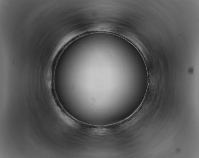 X0000101461131200807071424