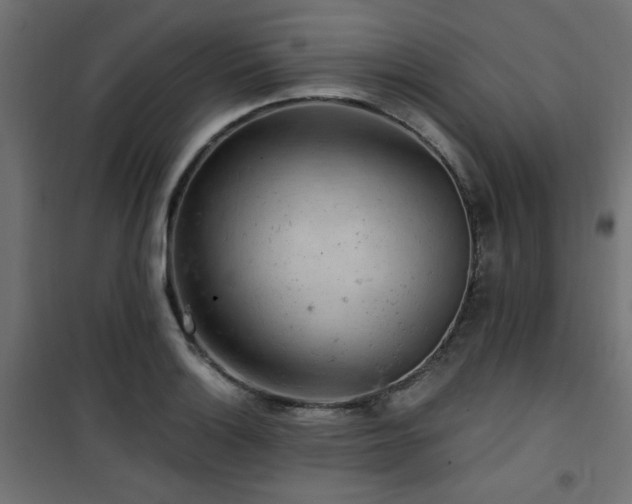 X0000101461132200807071424