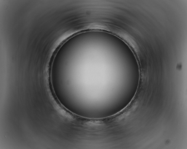 X0000101461133200807071424