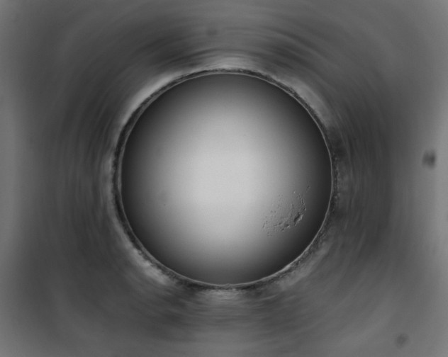 X0000101461134200807071424