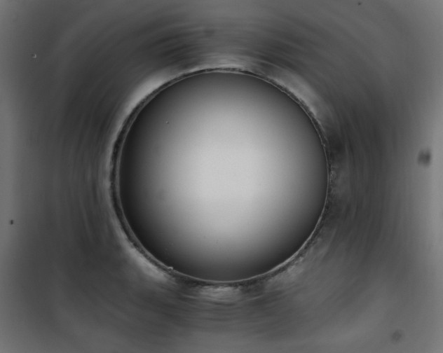X0000101461135200807071424