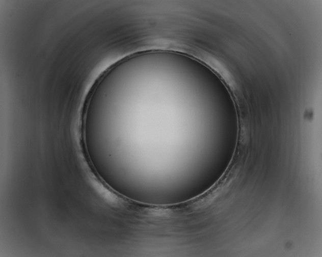 X0000101461136200807071424