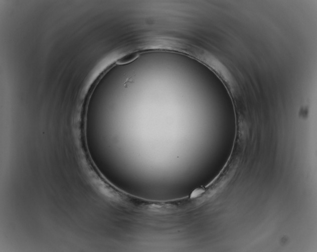 X0000101461138200807071424