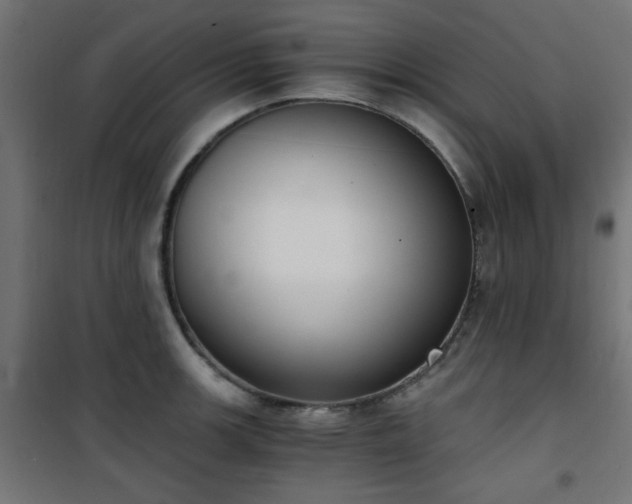 X0000101461139200807071424