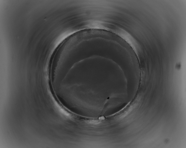 X0000101461141200807071424