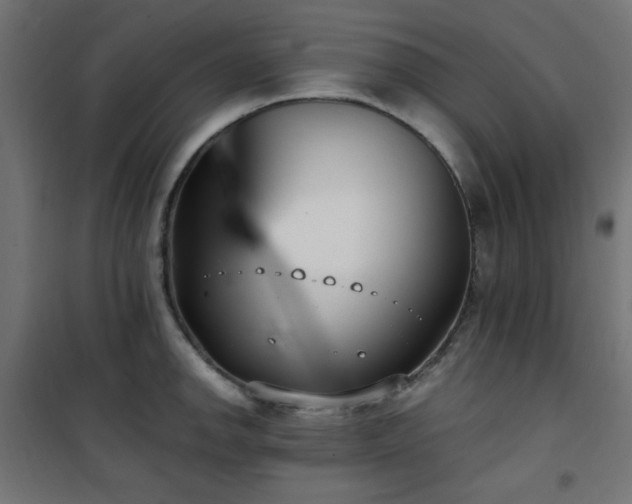 X0000101461142200807071424