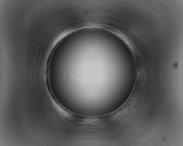 X0000101461143200807071424