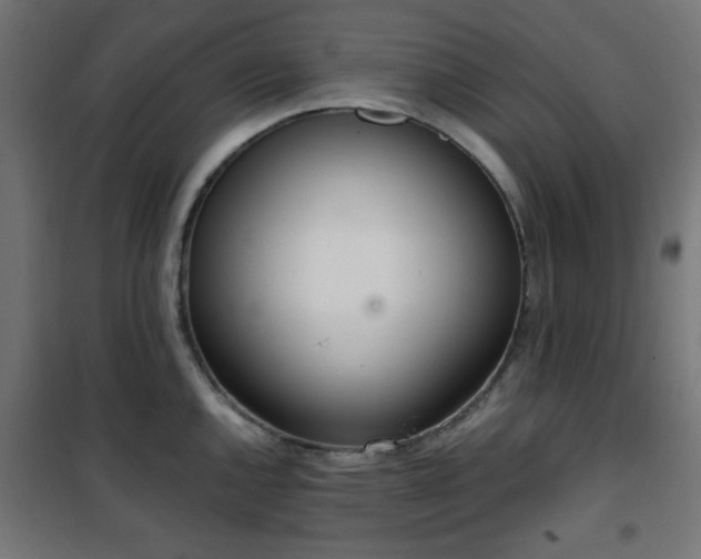 X0000101461144200807071424