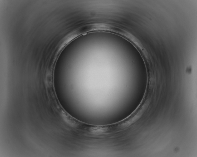 X0000101461145200807071424