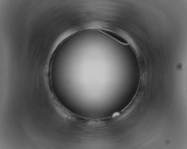 X0000101461146200807071424