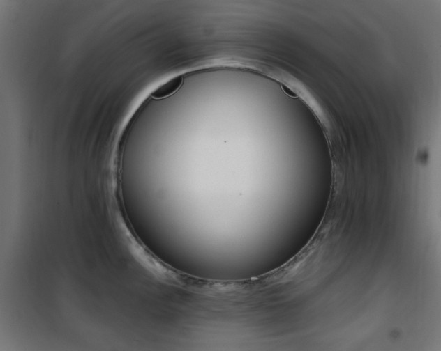 X0000101461148200807071424