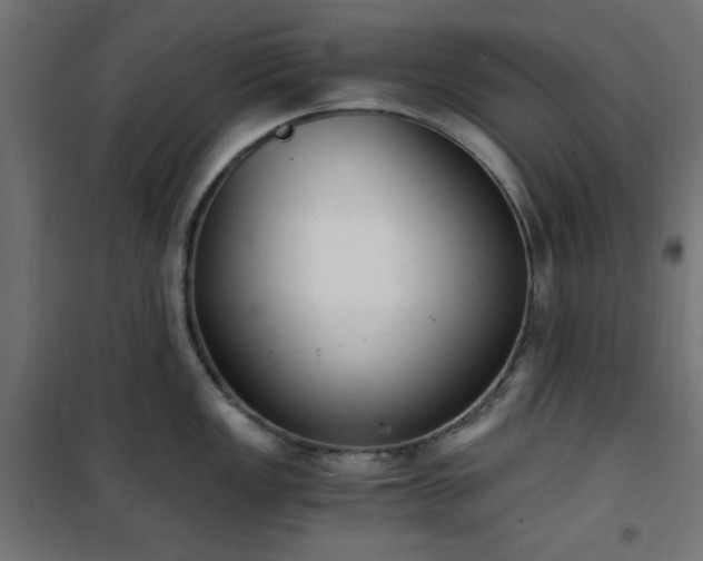 X0000101461149200807071424
