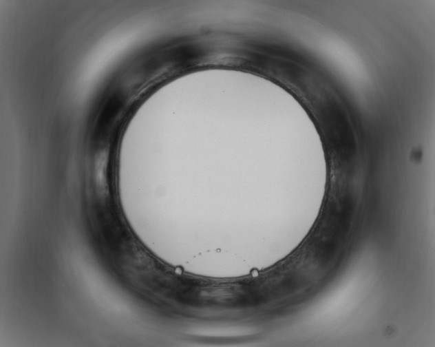 X0000101461150200807071424