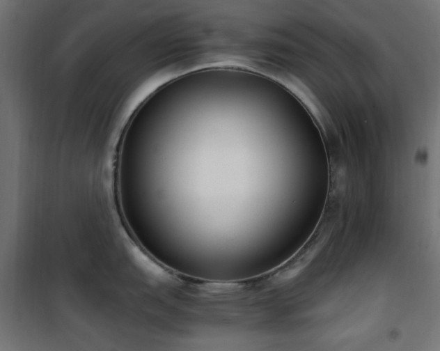 X0000101461151200807071424