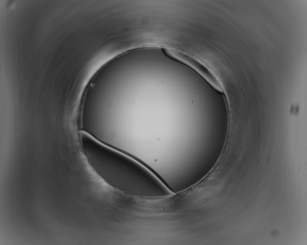X0000101461152200807071424