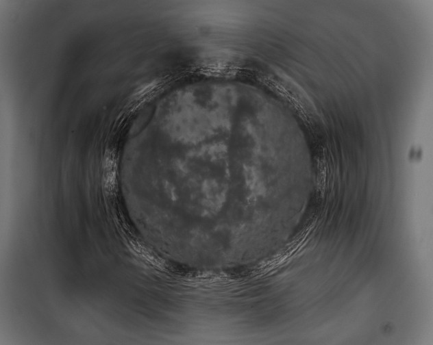 X0000101461154200807071423