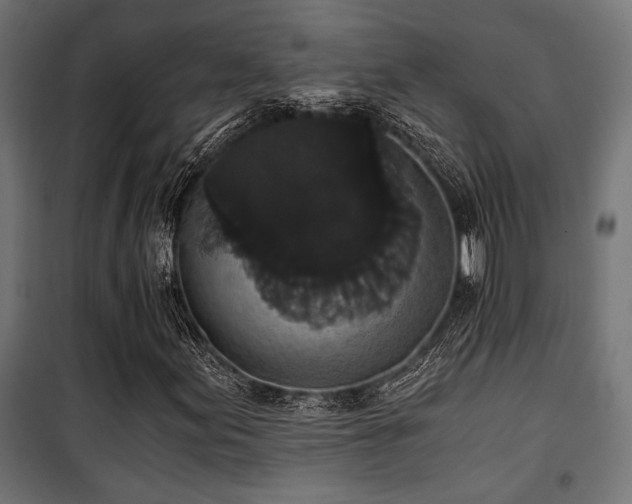 X0000101461155200807071423