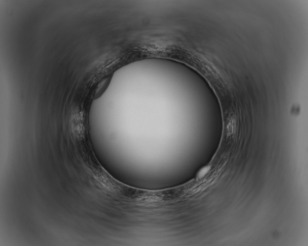 X0000101461156200807071423