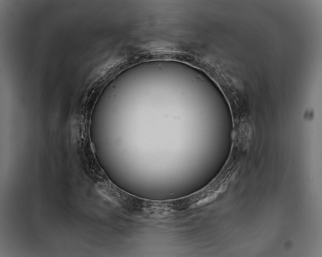 X0000101461157200807071423
