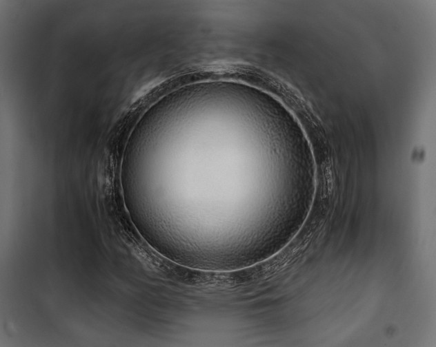 X0000101461158200807071423