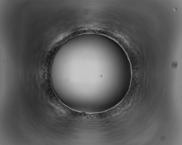 X0000101461159200807071423