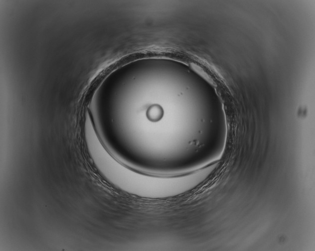 X0000101461160200807071423