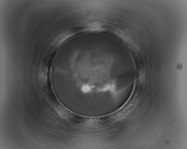 X0000101461161200807071423