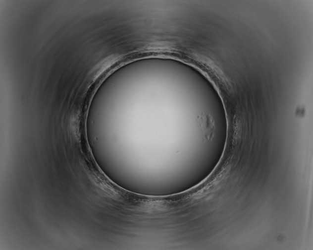 X0000101461162200807071423