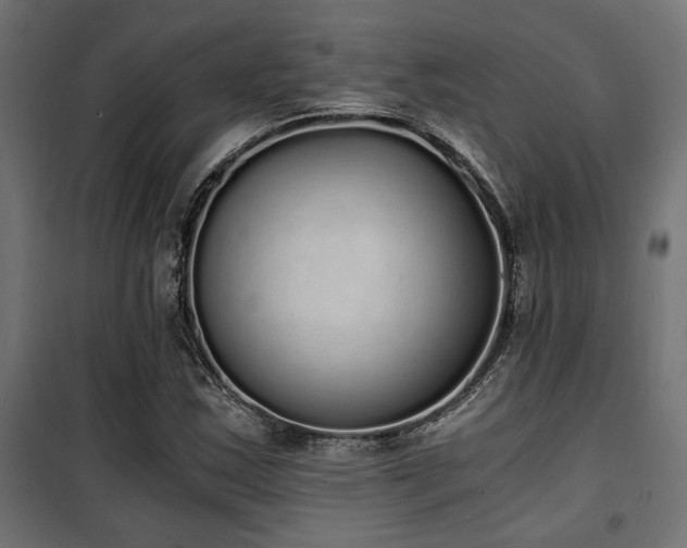 X0000101461163200807071423