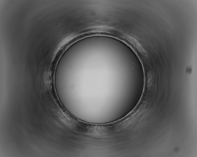 X0000101461164200807071423