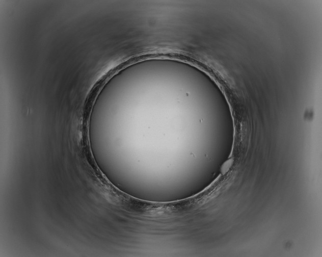 X0000101461165200807071423