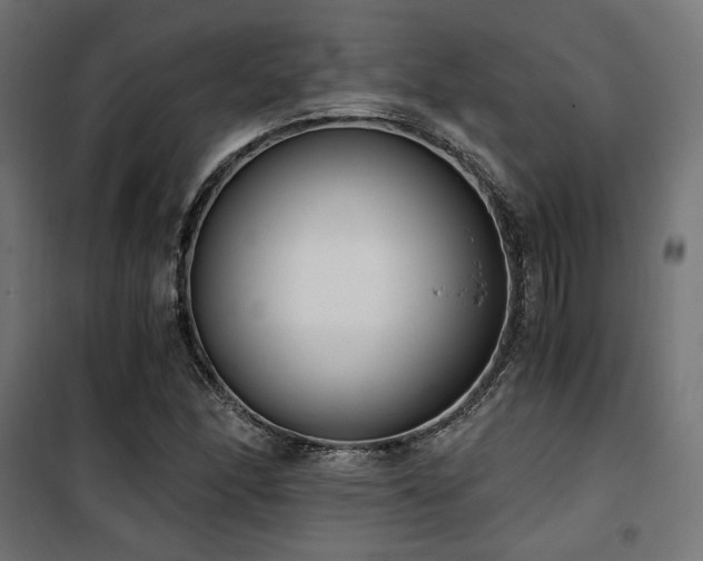 X0000101461166200807071423