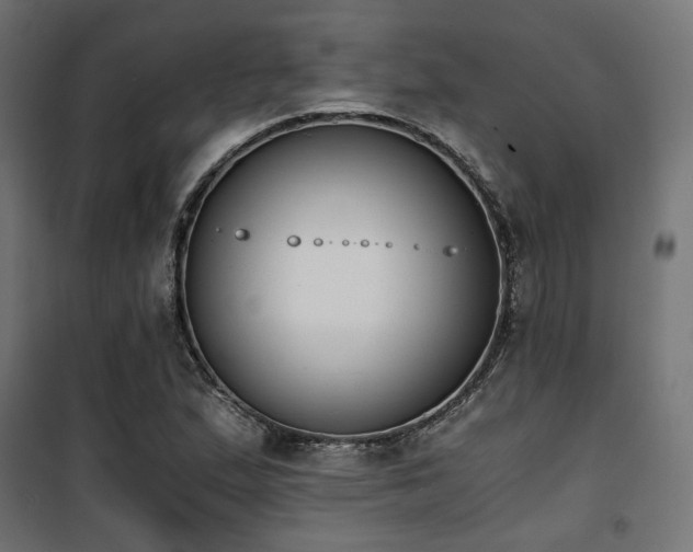 X0000101461167200807071423