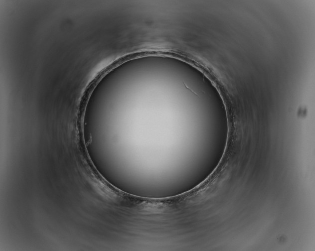X0000101461168200807071423