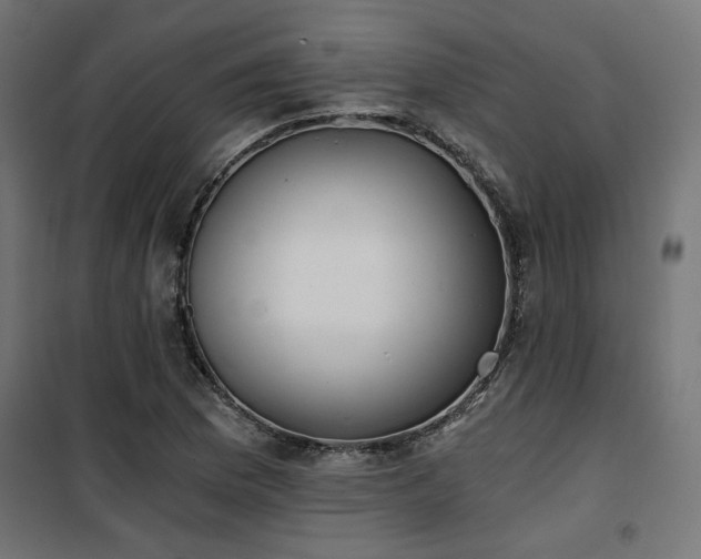 X0000101461169200807071423