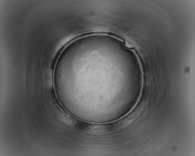 X0000101461171200807071423