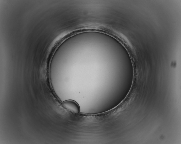 X0000101461172200807071423