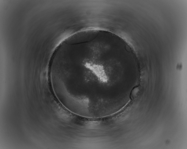 X0000101461173200807071423