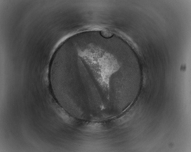 X0000101461174200807071423