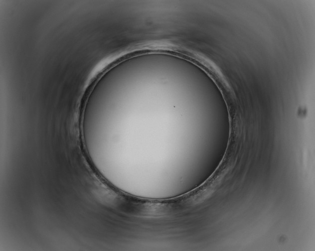 X0000101461176200807071423