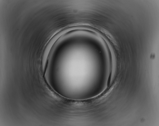X0000101461177200807071423
