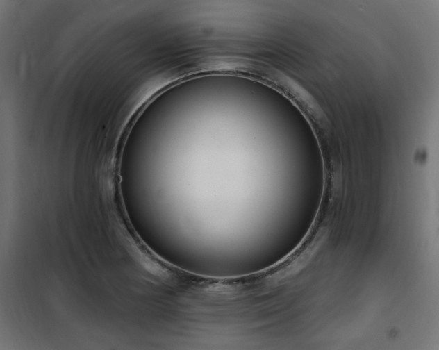 X0000101461178200807071423