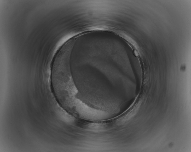 X0000101461179200807071423
