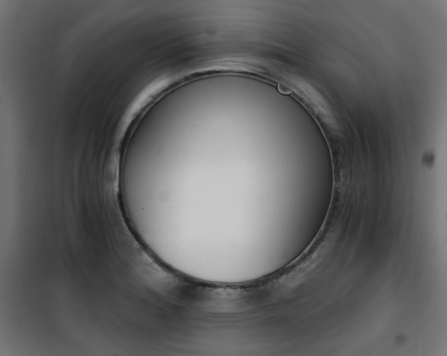 X0000101461180200807071423