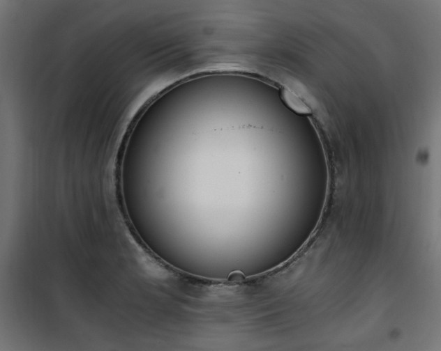 X0000101461181200807071423