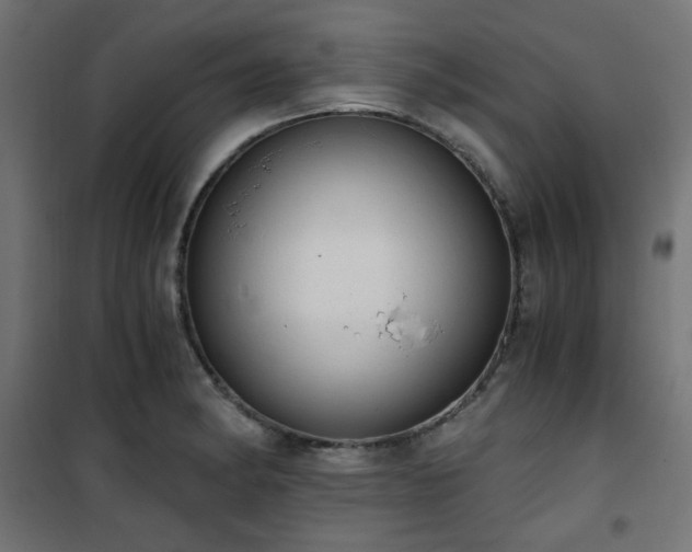 X0000101461182200807071423