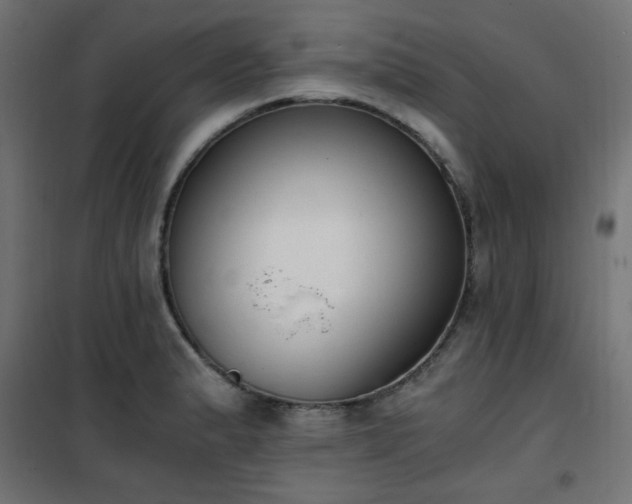 X0000101461183200807071423