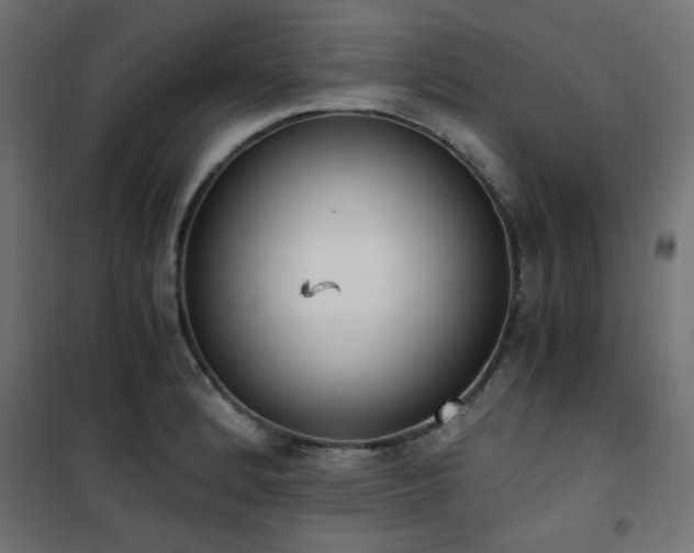X0000101461184200807071423