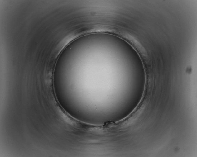 X0000101461185200807071423