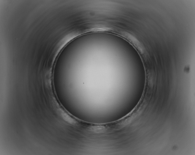 X0000101461186200807071423